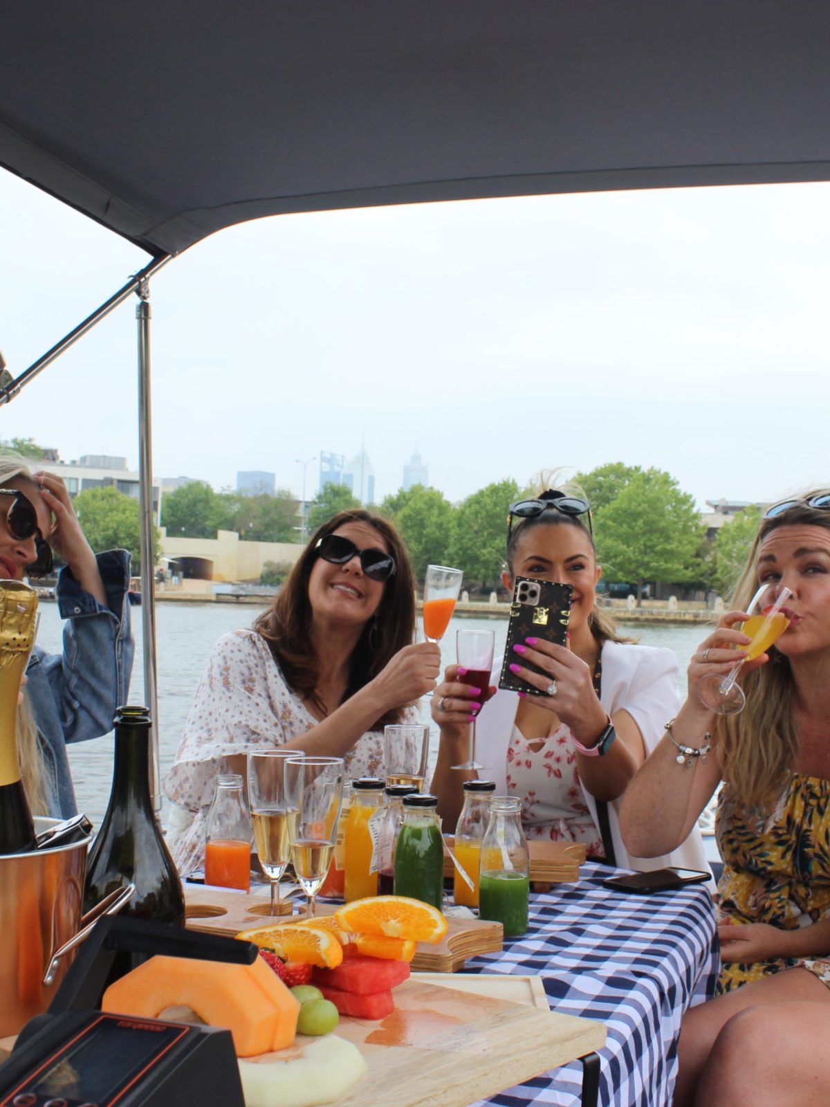 Ladies around the picnic table having a drink