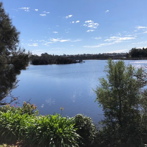 a large body of water surrounded by trees