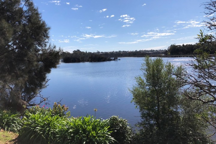 a large body of water surrounded by trees