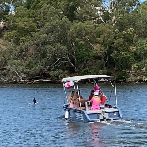 Pink session on the river