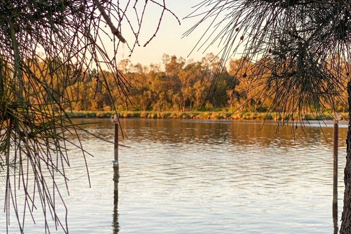a body of water with trees in the background