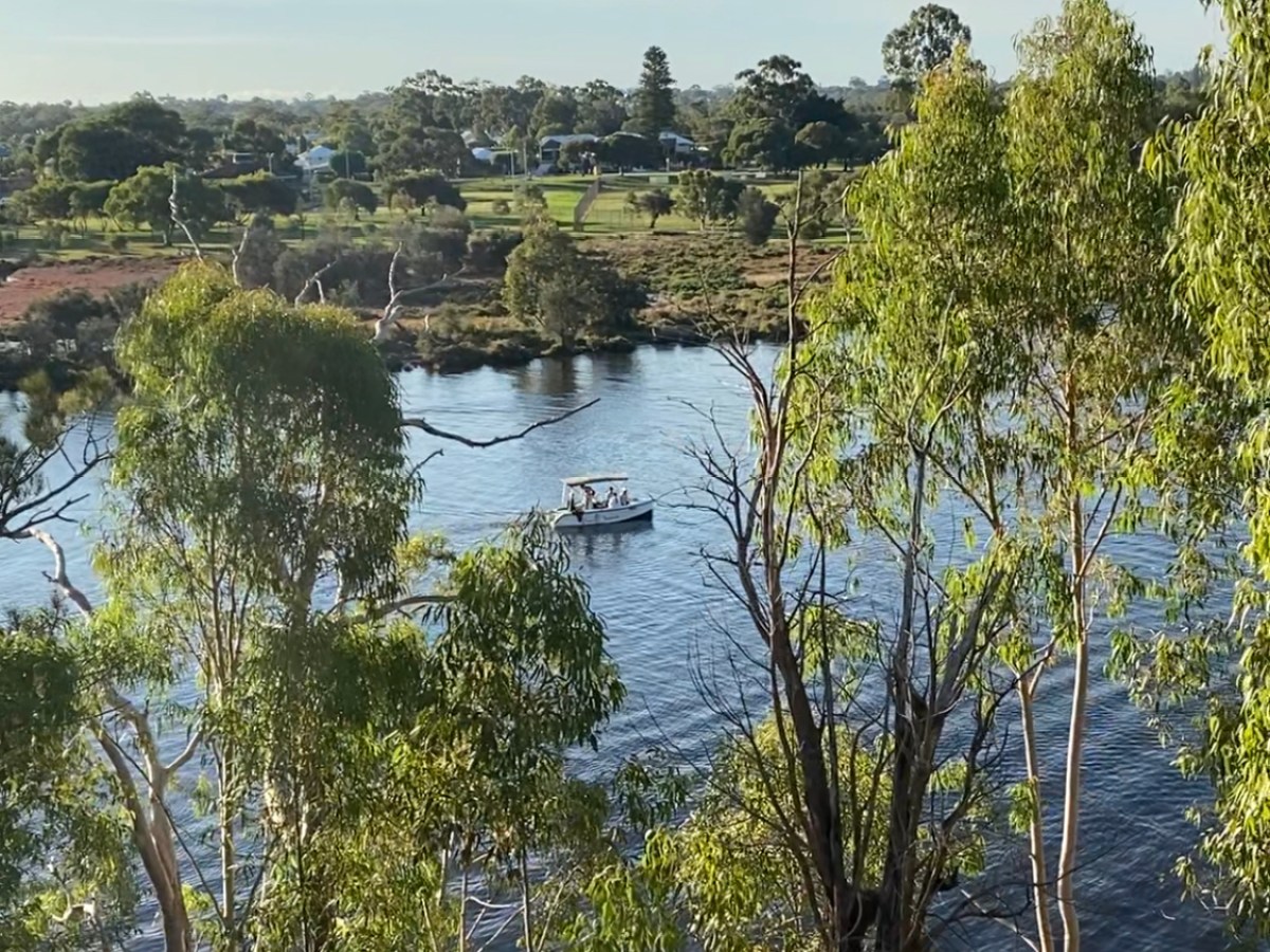 The boat on the Swan River seen from above between large Tuart trees