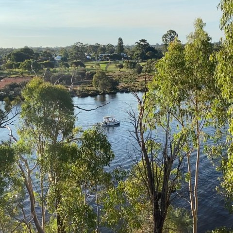 The boat on the Swan River seen from above between large Tuart trees