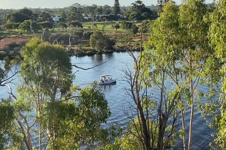 The boat on the Swan River seen from above between large Tuart trees